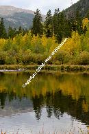Autumn in Colorado