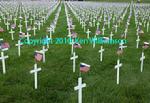Fallen Heroes