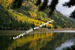 Lake and Aspens, Colorado