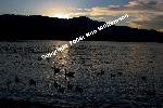 Prospect Lake, Colorado