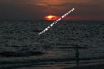 Naples Florida Sunset